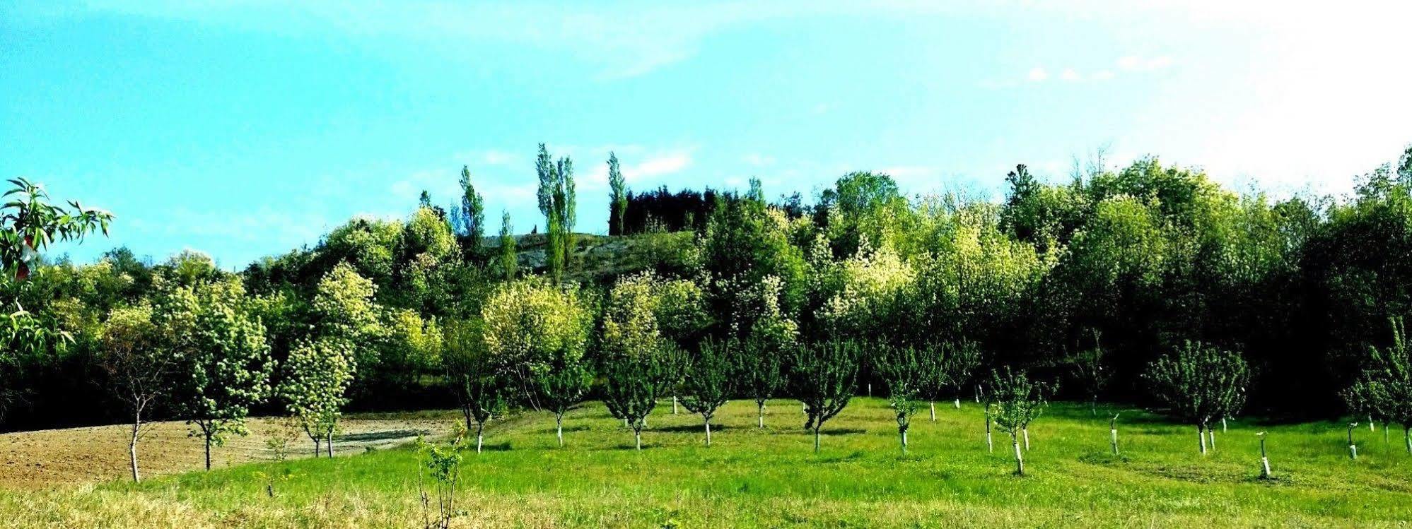 特奴塔瓦尔多索酒店 Montechiaro D'acqui 外观 照片